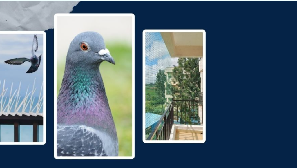 screenshot 2026 02 01 164038